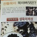 생목농장 네이버블로그