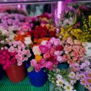 한아름꽃집 이미지