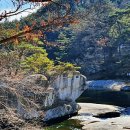 거창-마리-2 이미지