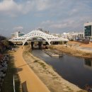 동구-21(대전천 이미지