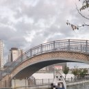 중앙공원내 매점 옆 이미지