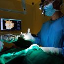 연세쌍둥이구강악안면외과치과의원 이미지