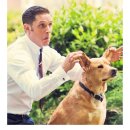 아기강아지 이미지