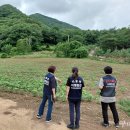 국립농산물품질관리원 문경사무소 구미일보