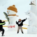 평창송어축제 이미지