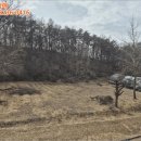 경기도 안성시 고삼면사무소 이미지