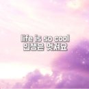 라이프이즈쿨