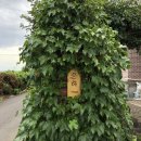 은하민박 이미지