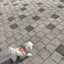 눈보뛰 프리미엄 이미지