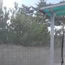 횡계주유소