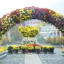 해남광장 이미지