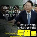 3406 김서연 미디어 융합독서 1학기 3차시(투표로 대파하자!) 이미지