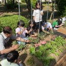 횡성초등학교 이미지