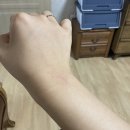 BHC치킨 철원동송점 이미지