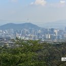팔각정공원 Daum카페