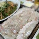 백김치새싹막회