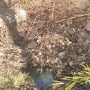 남강축산 이미지