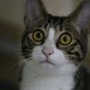 더라온메디칼 이미지