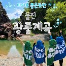 울진숲속의산장펜션 | 바다를 품은 듯한 울진 광품계곡💙 광품폭포(광품교) | 취사 가능 · 애견동반 가능한 여름 계곡