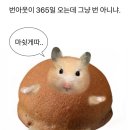냠냠 이미지