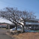 세화리경로당 이미지