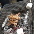 케빈오토 | 경기도글램핑 오토캠핑장 연천 한탄강 관광 오토캠핑장 솔직후기 케빈하우스 서울근교캠핑장