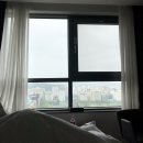 엔젤크린프리미엄 | 상반기 끝자락 일상