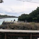 한담 애 | [제주맛집] 한담해변 맛집, 해물이 아낌없이 들어가 국물이 끝내주는 해물라면 놀맨 | 내돈내먹 솔직후기