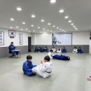 용인대국민유도관 이미지