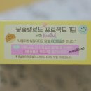 쁘띠마롱 티스토리