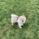 조례호수공원 이미지