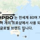 범퍼카프로 네이버블로그
