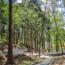 구례소나무정원 이미지