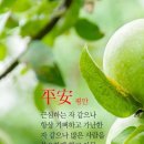 평안 이미지