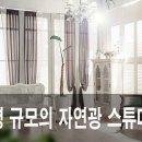 제제스튜디오 사하점 네이버블로그