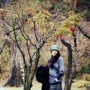 푸른상회 이미지