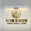 표쌤동물병원 이미지