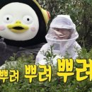 오로라하우스