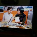 하늘표고버섯