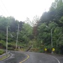 장원초교 이미지