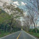 봉황대운동장 이미지