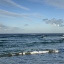 복돌네민박 이미지