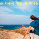 속초사잇길 제3길 티스토리