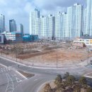 경희대석사누리태권도장 이미지