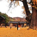 사랑의뜰안전주