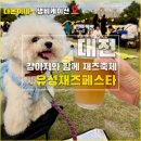 대전 애견동반 - 유성재즈 &amp; 맥주페스타 강아지랑 다녀온 후기