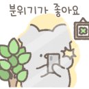 카페520