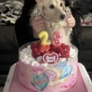 스타떡스 | 2월 순삭 해피 생일주간기록