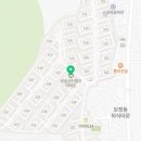 Wellness clinic 동물병원 이미지