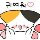 코지크 네이버블로그